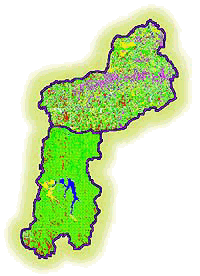 Reserva Florestal do Morro Grande - SABESP