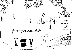 mapa.GIF (2250 bytes)